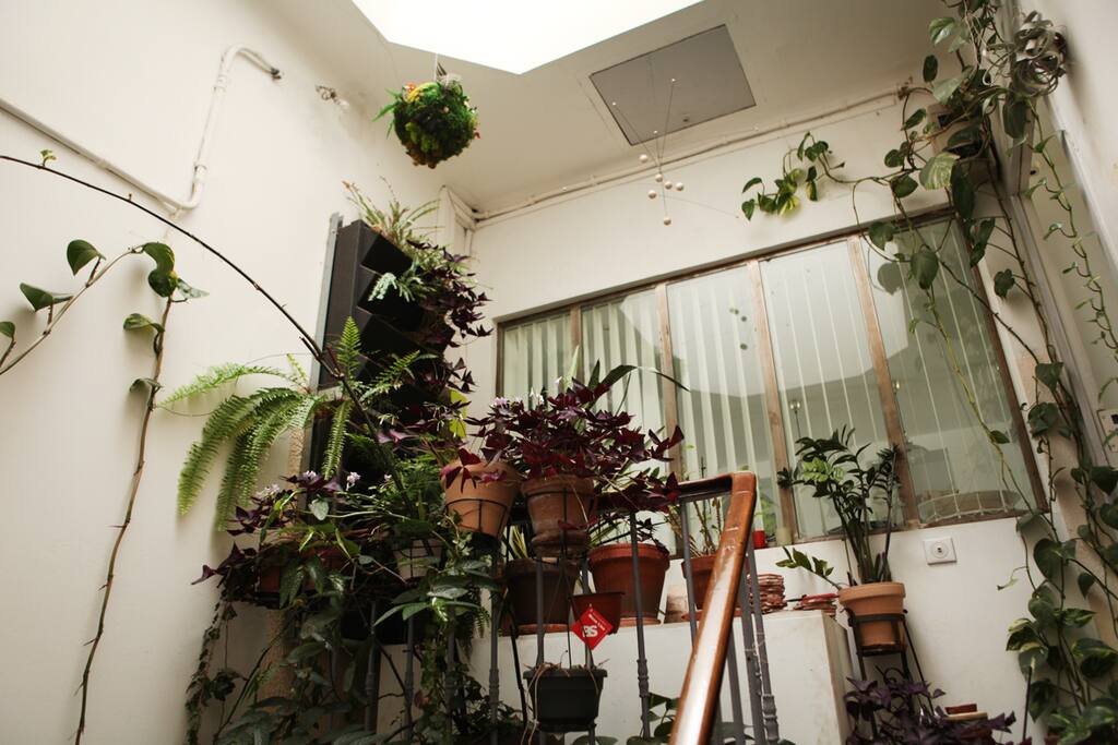 Cage d'escalier commune