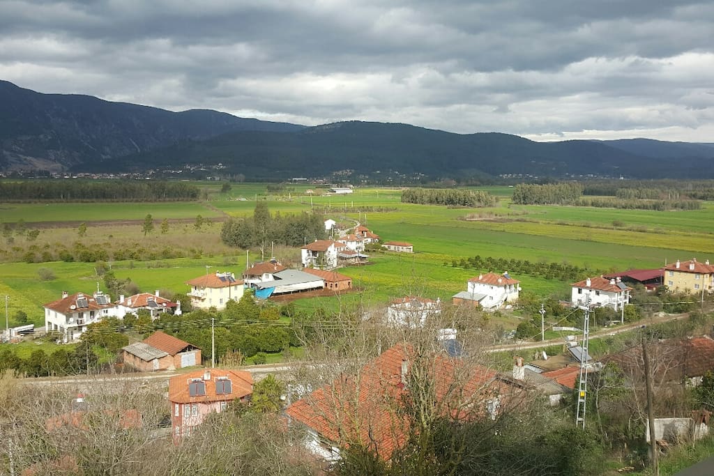 Gokova plains