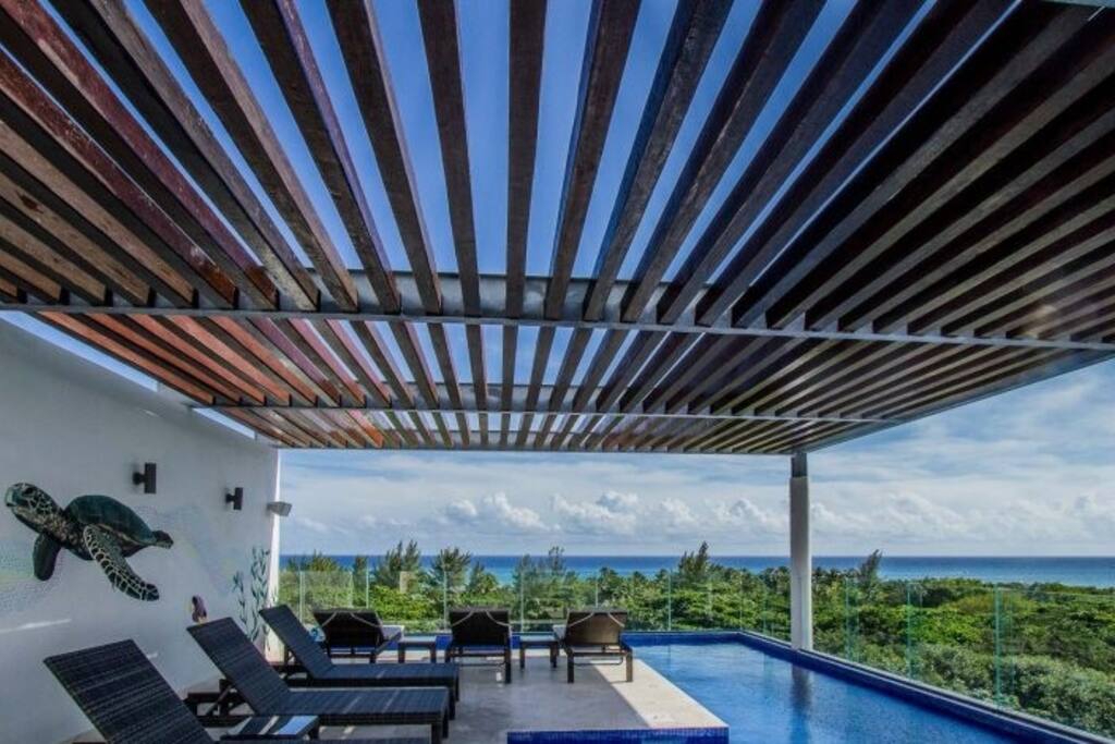 Rooftop View