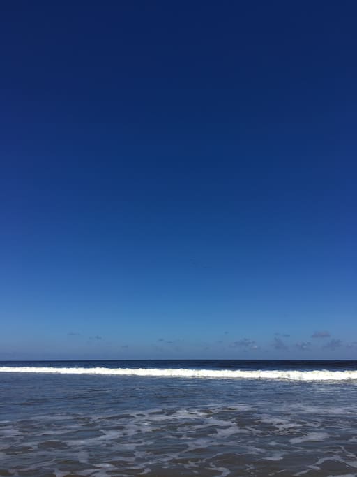 10 miles to beautiful Jacksonville Beach