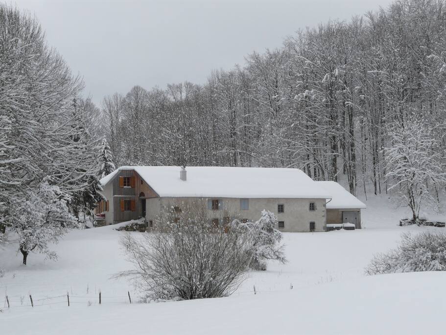 la sange en hiver