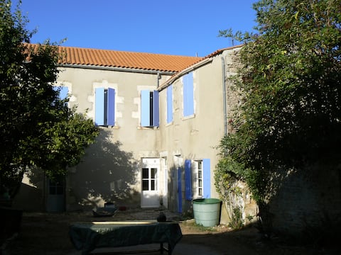 The Buissonnière School