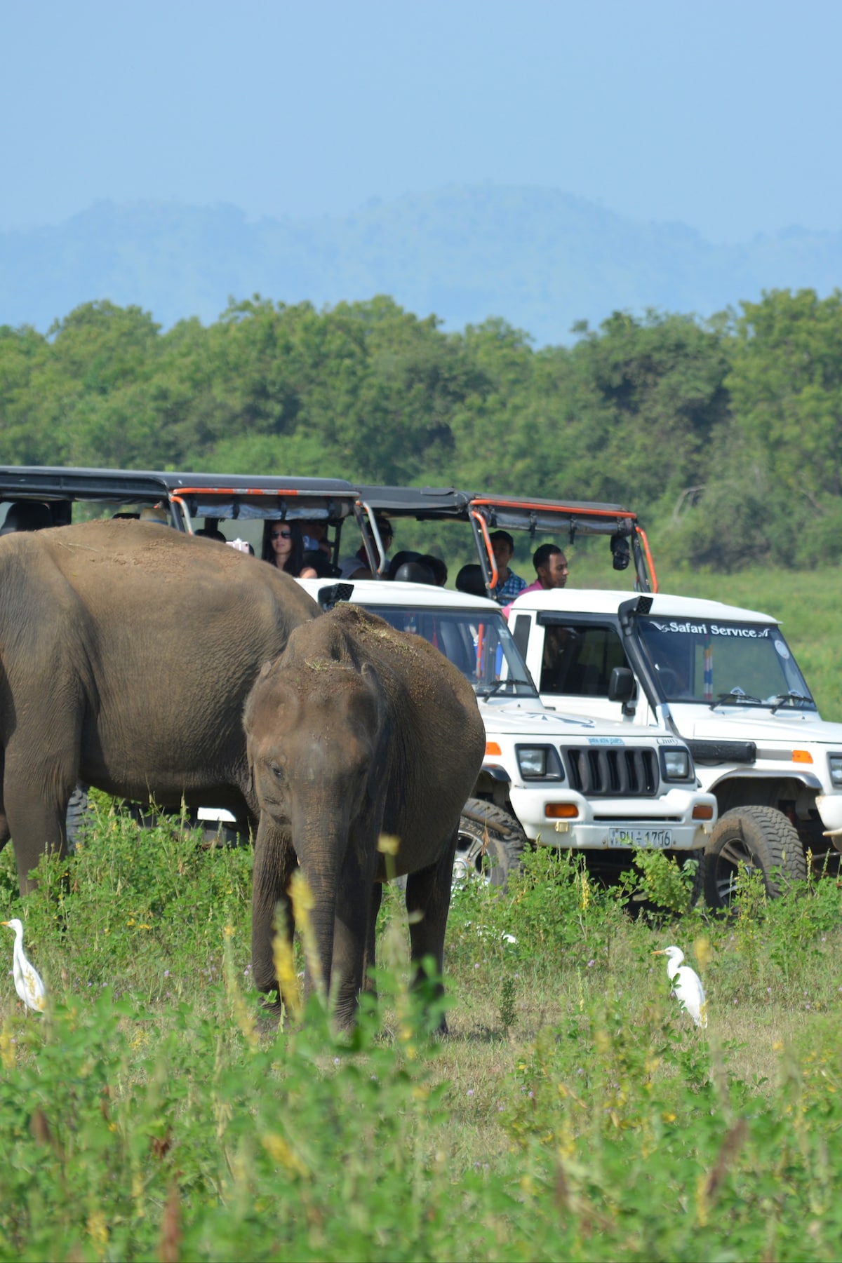 Sri Lanka Ferienwohnungen Unterkunfte Airbnb