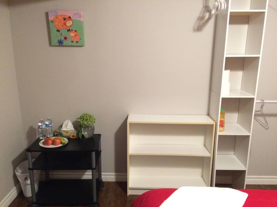 Big Closet Organizer
