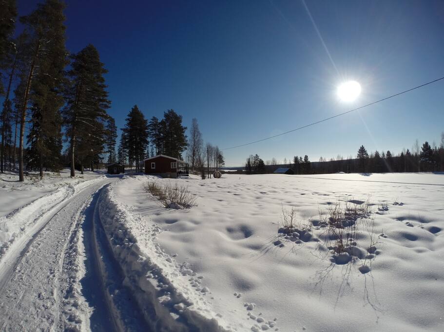 The property