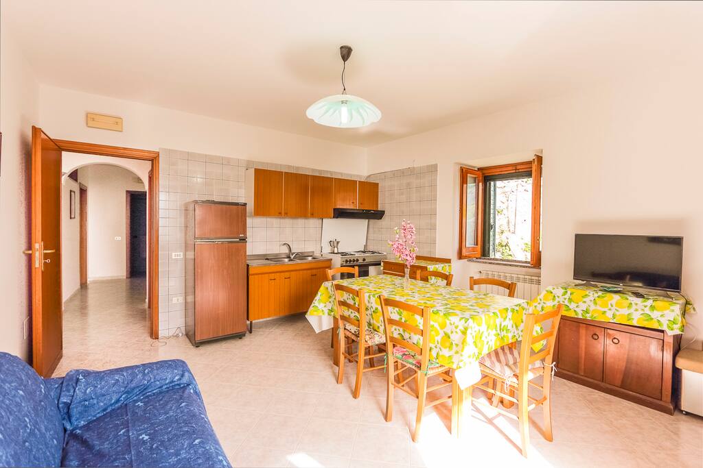 Large living area with a kitchen and a comfortable sofa bed