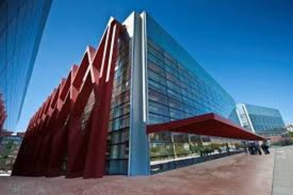 MUSEO DE LA EVOLUCION HUMANA A 5' de casa