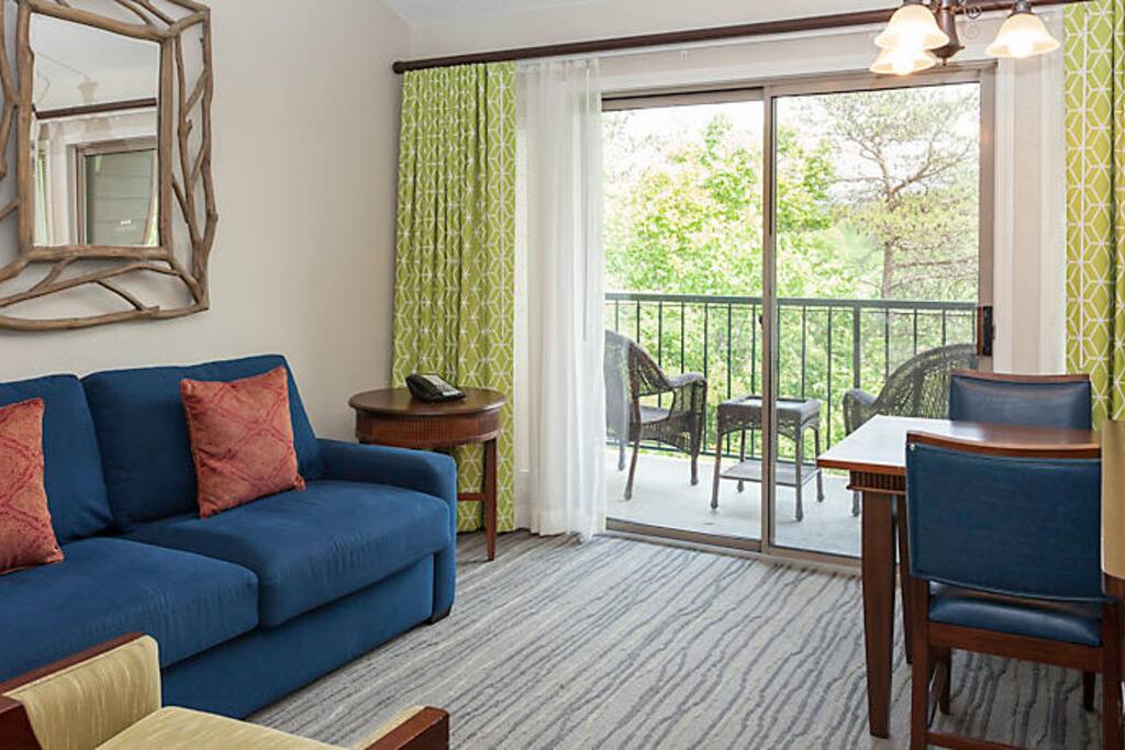 Living room w sofa bed