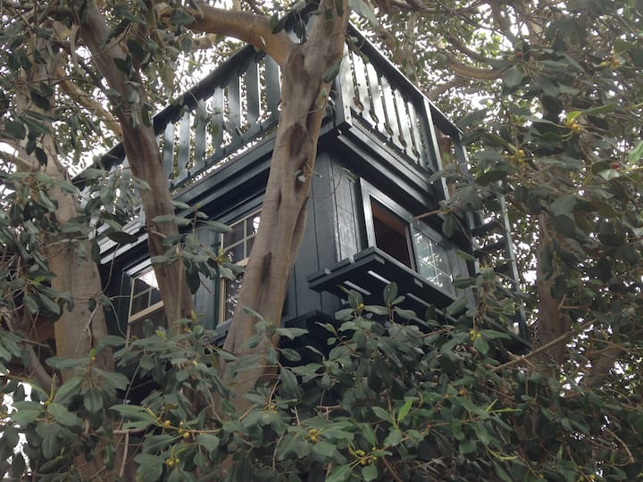 Treehouse Adventure Treehouses for Rent in Brea, California, United