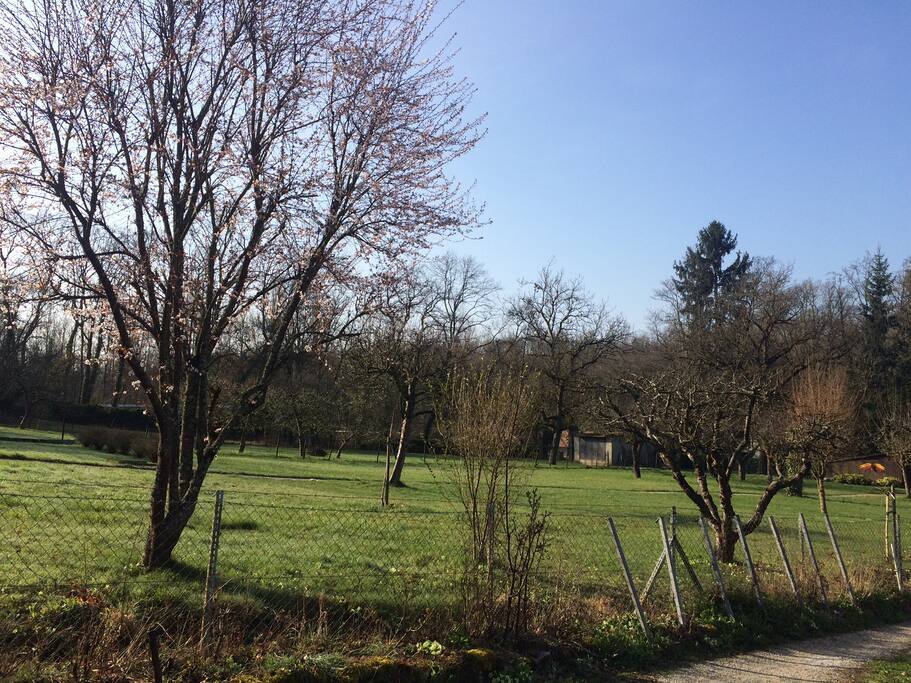 Local scenery