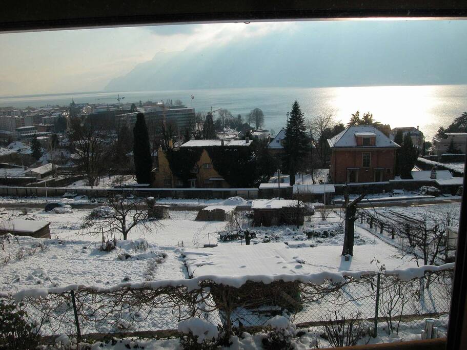 Vue sur le lac en hiver