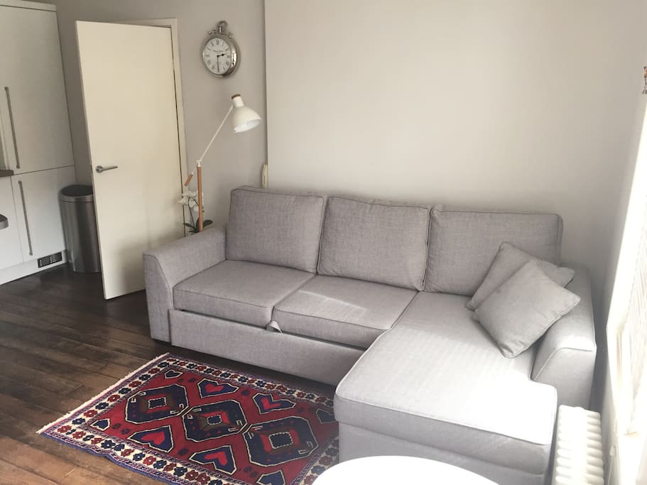 Pull out sofa bed