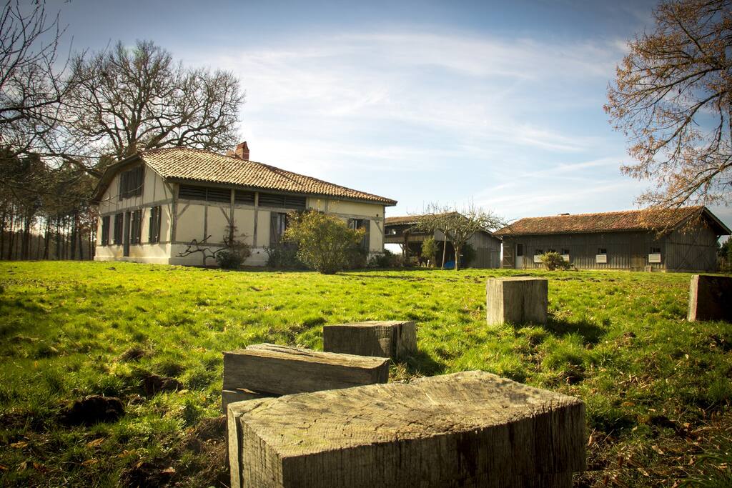 Domaine de la Canopée des Landes