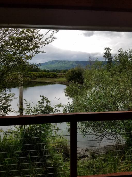 View of the Slough.