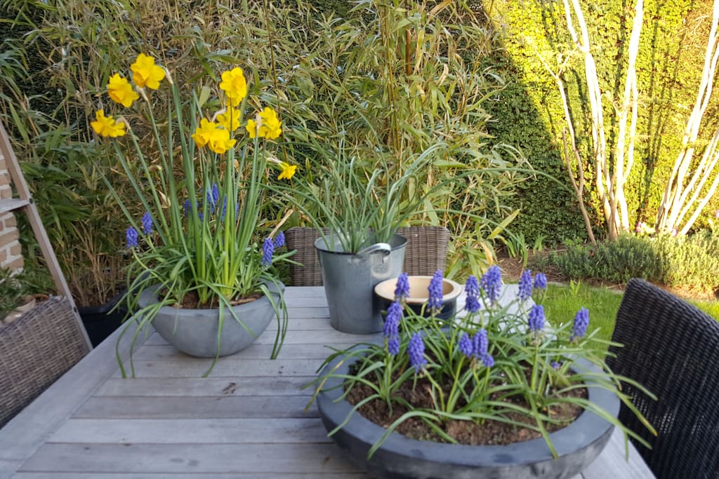 Een zonneterras vol bloemen