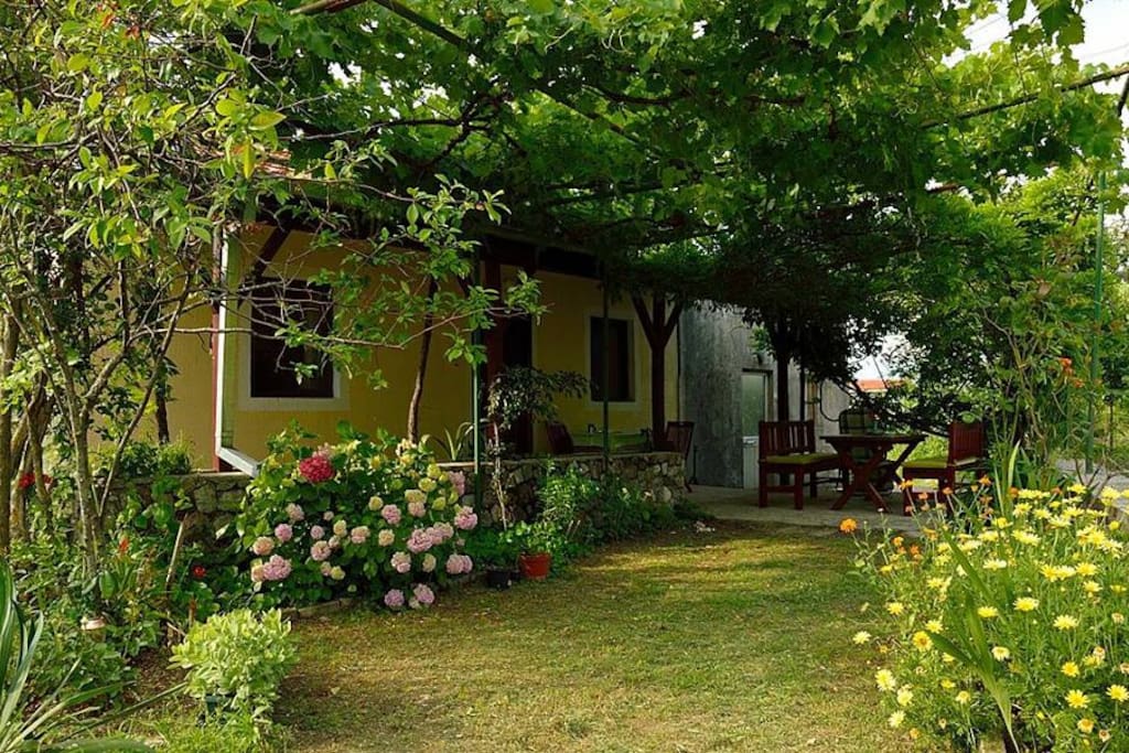yard