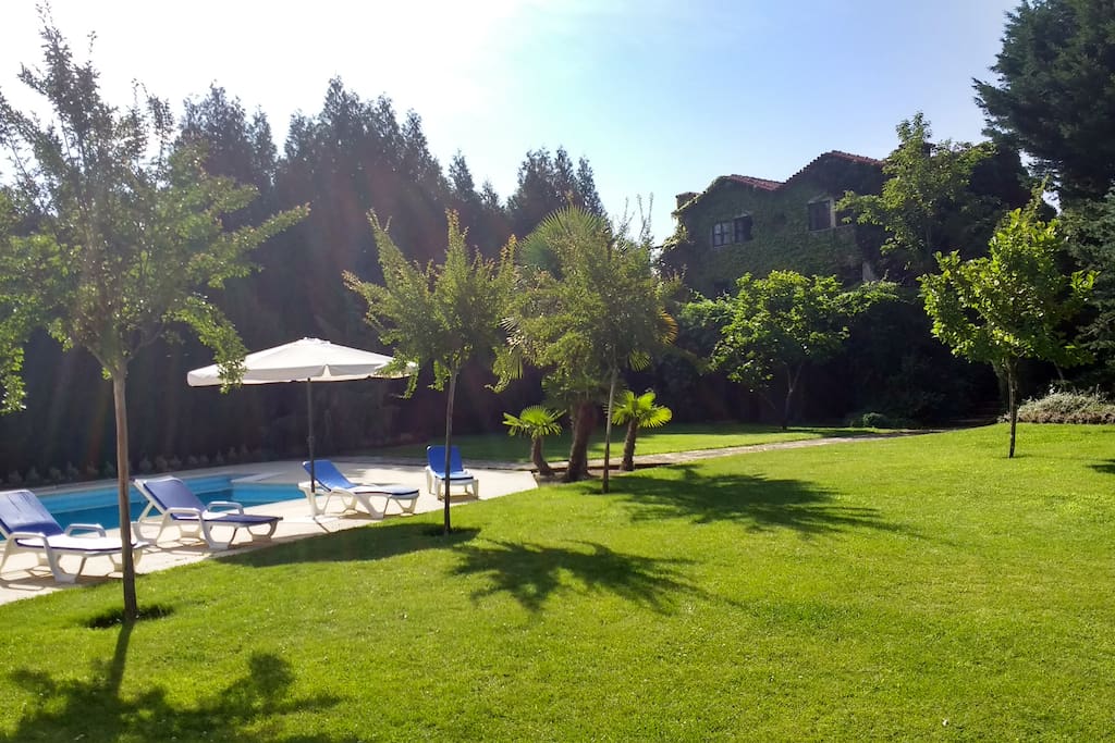 Jardim e piscina