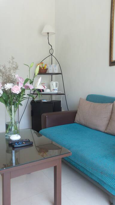 Seating Sofa Bed