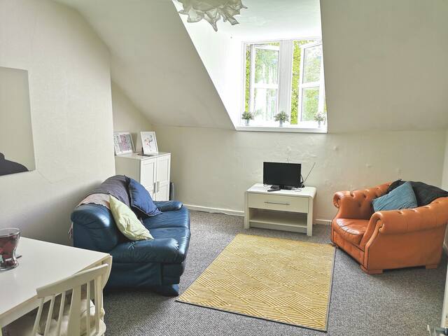 Affordable Apartment in an Excellent Location