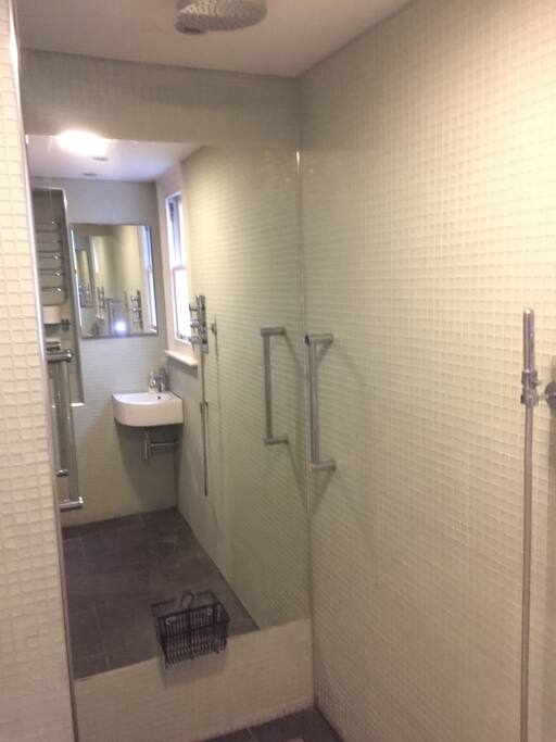 Basement Bathroom