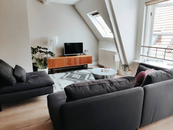 Centrum Zwolle with view on the Peperbus Condominiums for Rent in