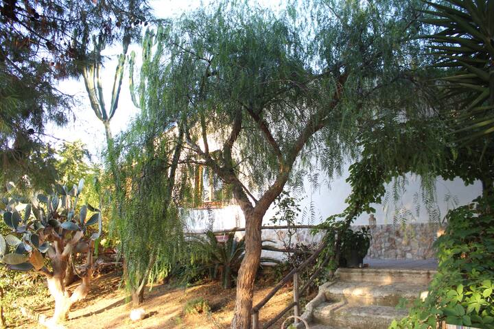 Airbnb Altavilla Milicia Vacation Rentals Places To