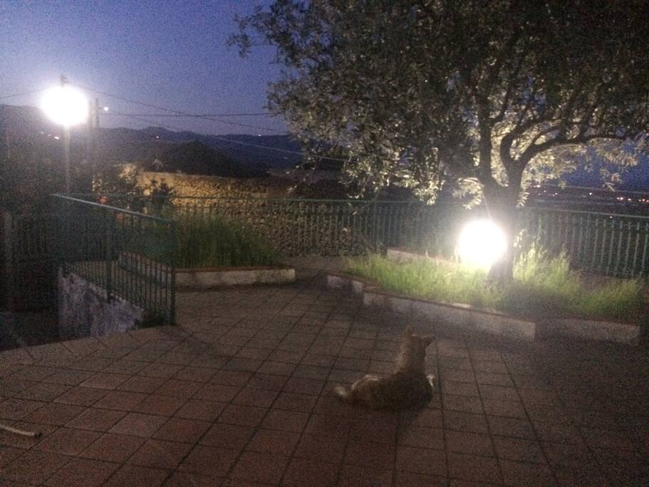 Dopo il tramonto.....
