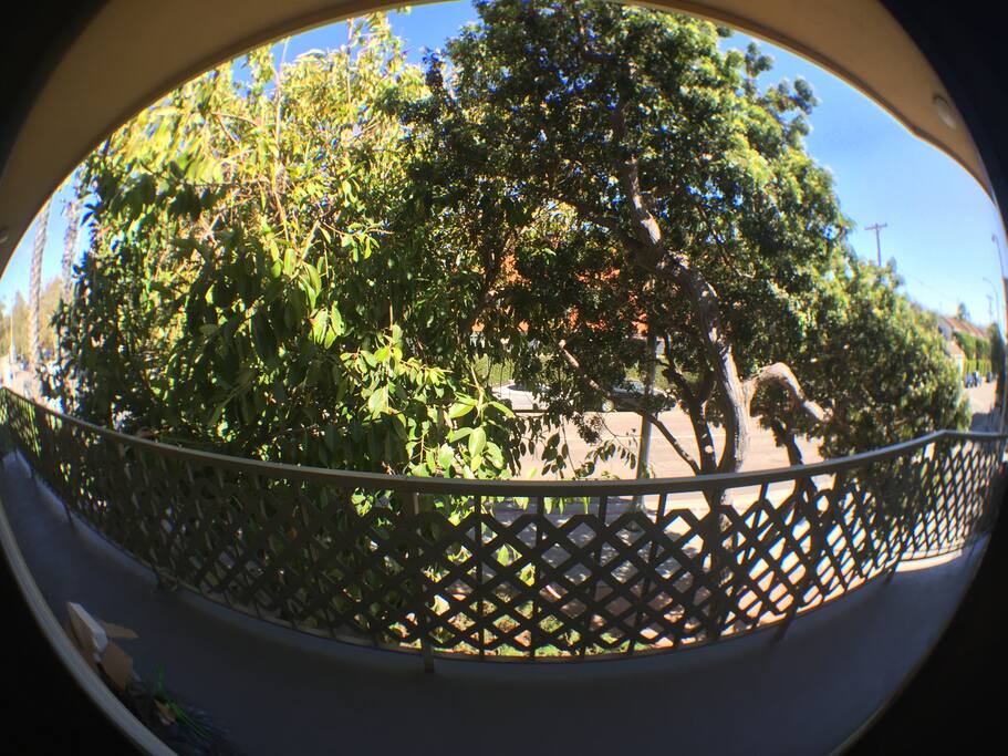 View to Street; feels very private.