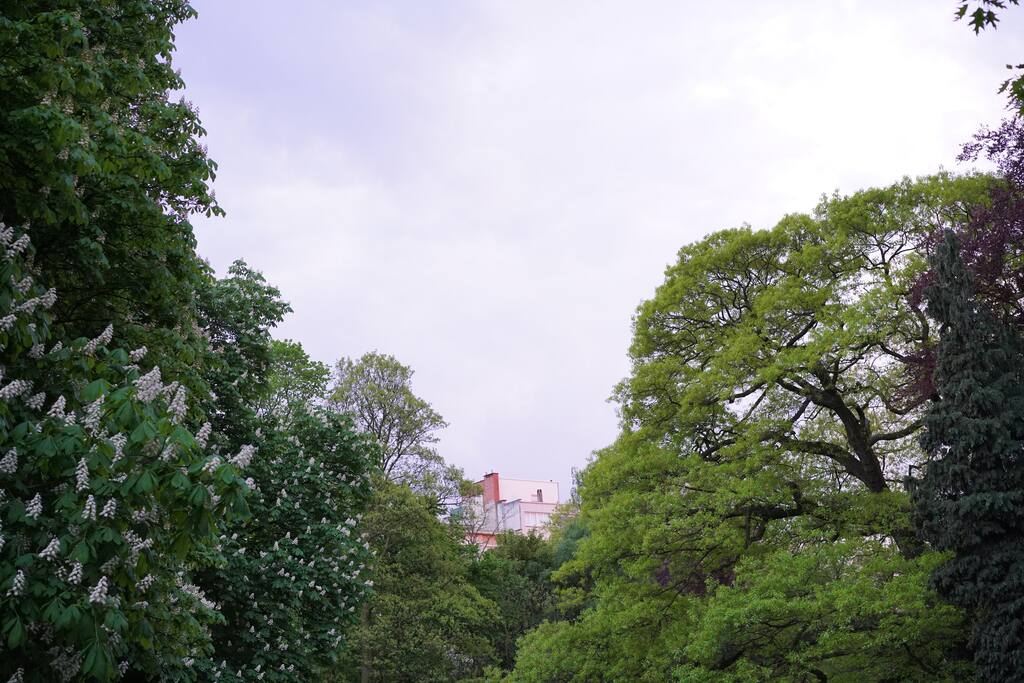 Romantic Harmonie Park nearby. (You can spot bunnies!)