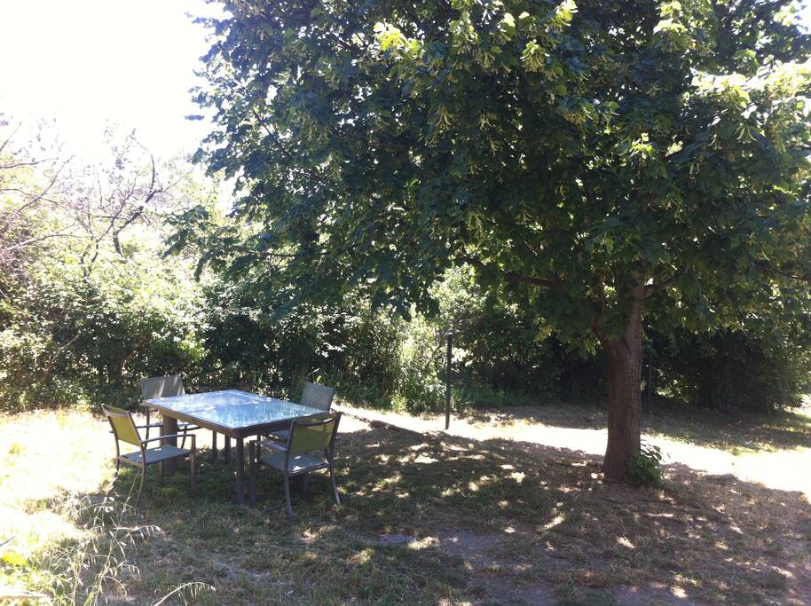 Coin jardin sous le tilleul