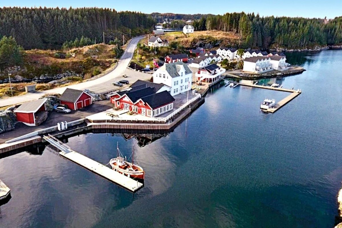 A view of a serene harbor with several boats docked along wooden piers. Red and white buildings with varying architectural styles line the waterfront. A winding road is visible in the background, surrounded by lush greenery and rolling hills, highlighting the tranquil coastal landscape.