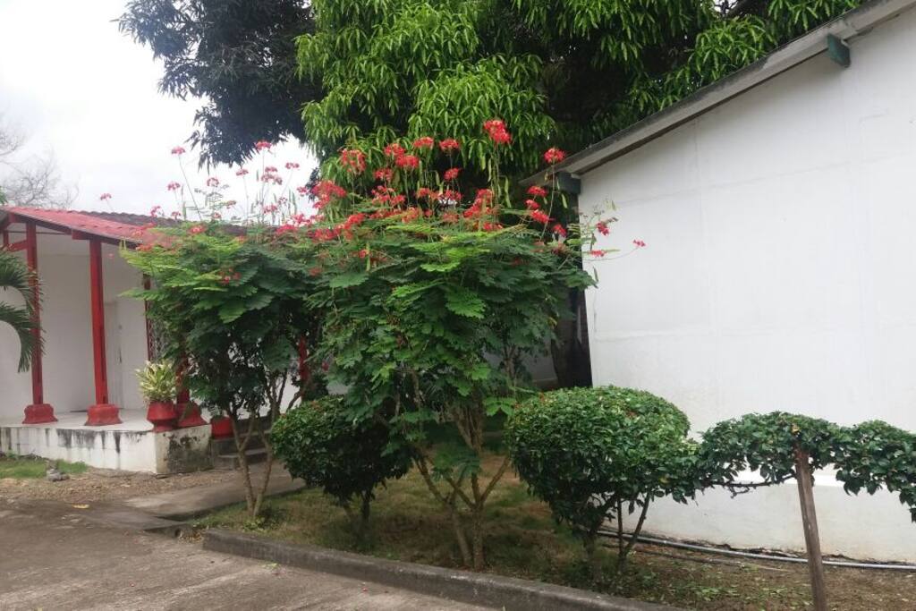 Vista desde la Piscina