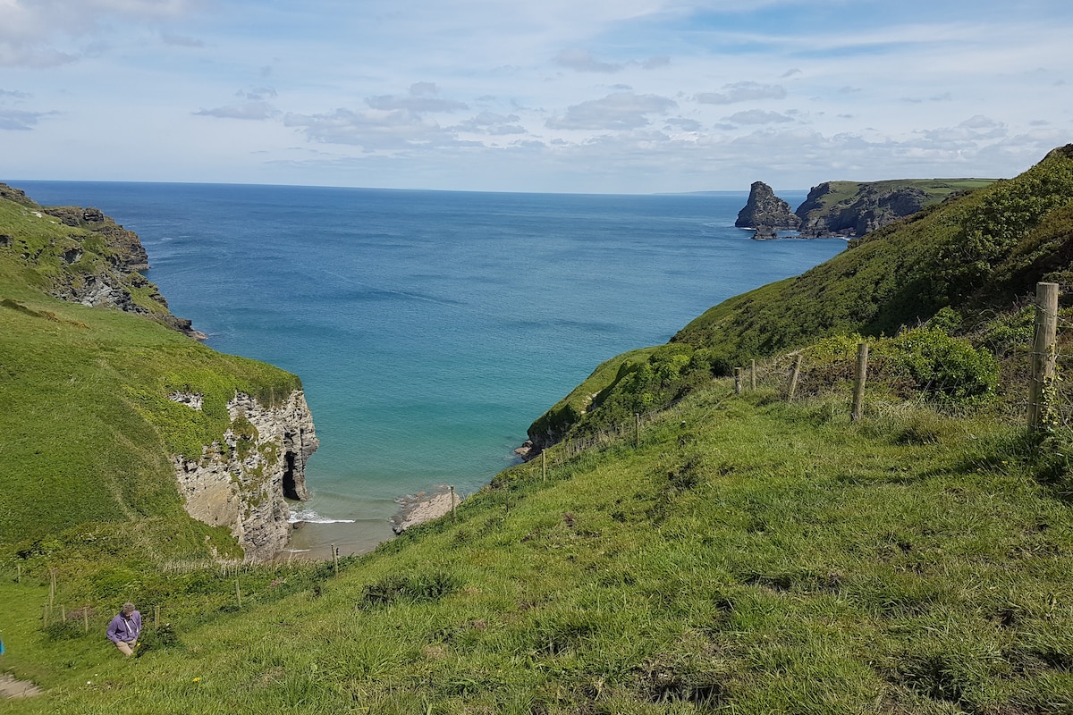 A serene coastal view features gentle hills sloping down to meet a calm sea. The shoreline is punctuated by rocky formations in the distance, while lush green grass and scattered foliage provide a natural foreground, reflecting the beauty of the untouched landscape.