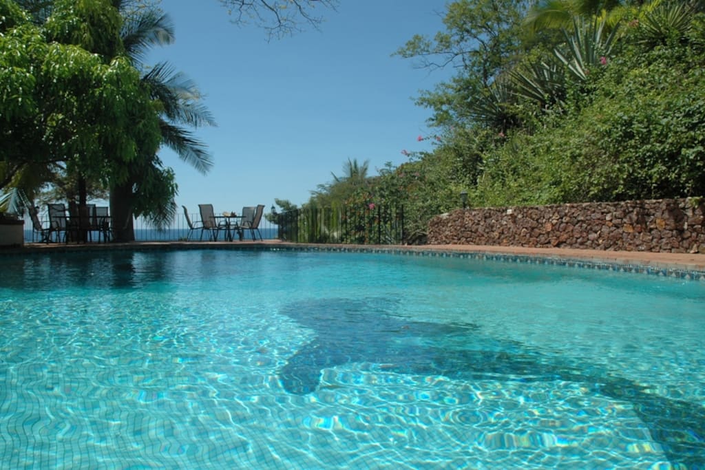 Large refreshing pool with partial shade from a mango tree