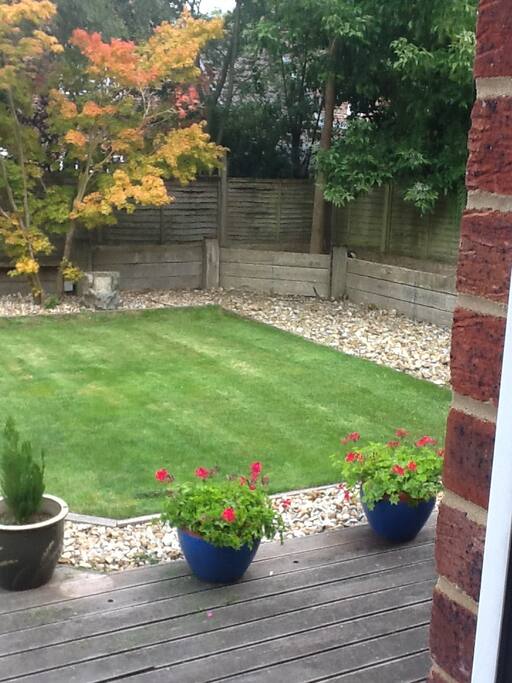 Well maintained sunny garden
