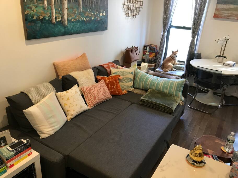 Comfy full-size pullout sofa