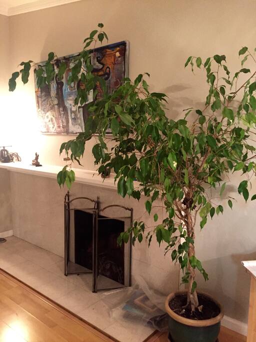 Interior foliage makes for a nice green space