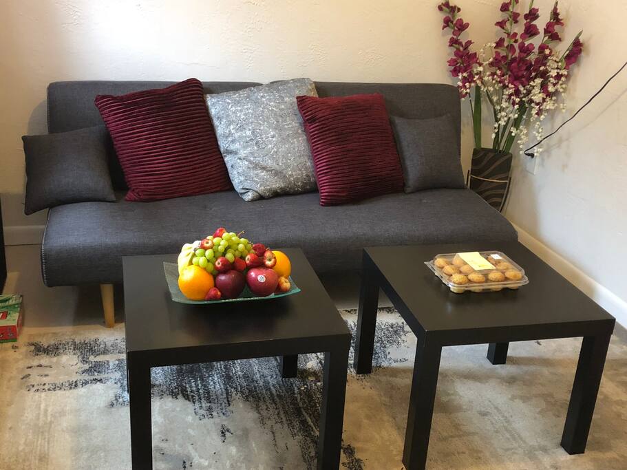 Living Room with Twin Futon