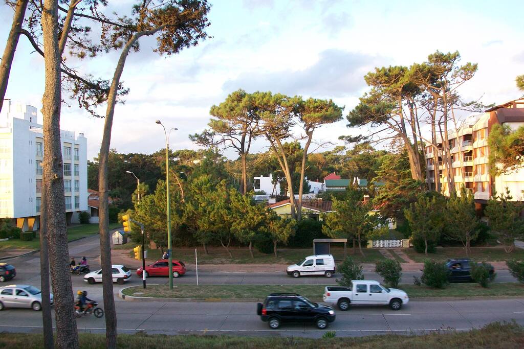 Alrededores Parada 11 de la mansa
