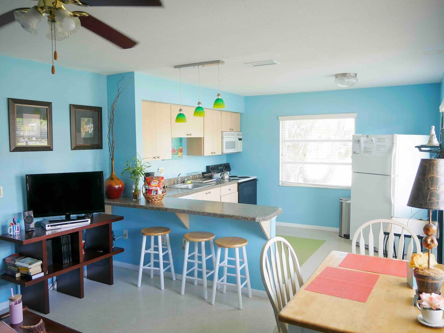 35 Dreamy Airbnb St. Petersburg, Florida Vacation Rentals 100 Image of Airbnb rental in St. Petersburg, Florida