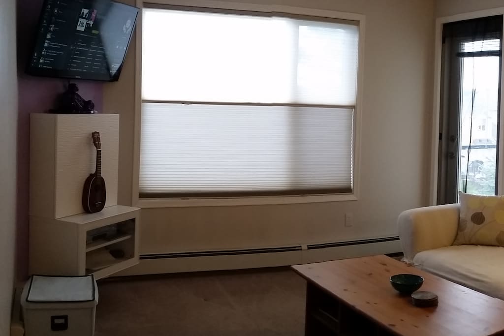 Bright living room with flat screen TV, DVDs, & Balcony!