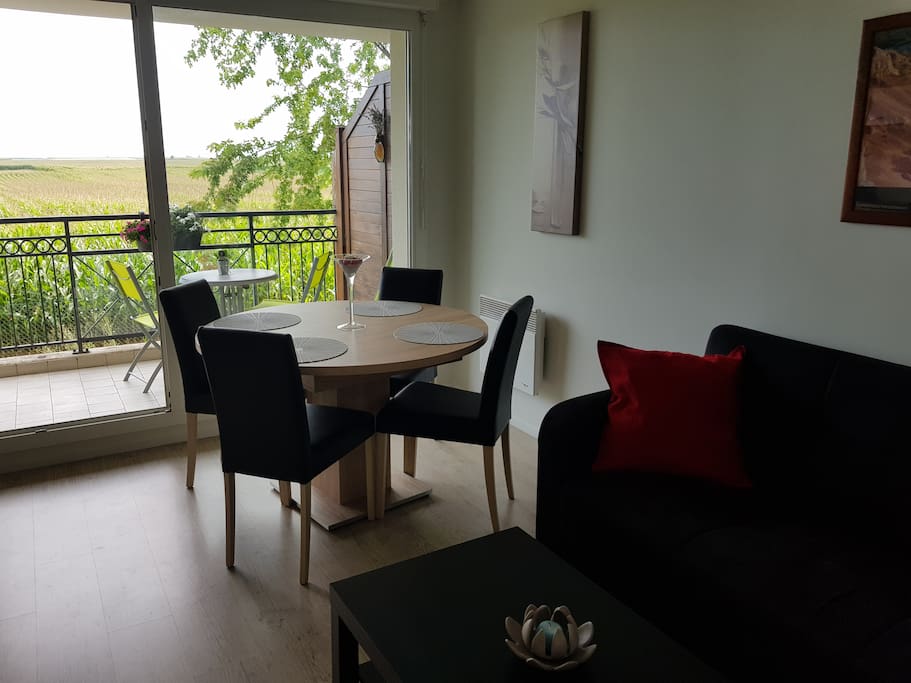 Salon / Salle à manger donnant sur terrasse