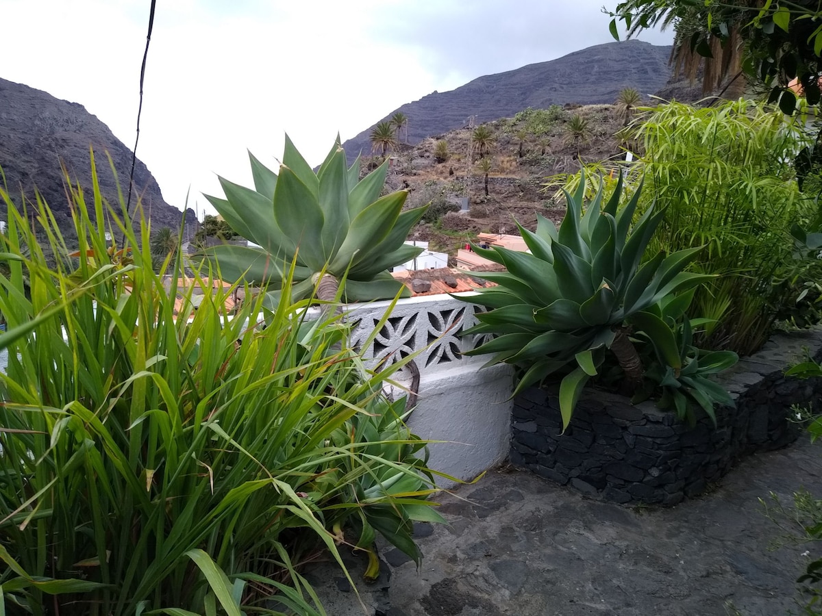 Lush greenery is displayed in the foreground, featuring a variety of plants, including large agaves and tall grasses. A stone wall provides a backdrop, while a glimpse of the village and mountainous landscape is visible beyond the plants, illustrating the natural surroundings.