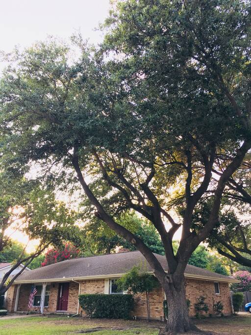 Corner lot
