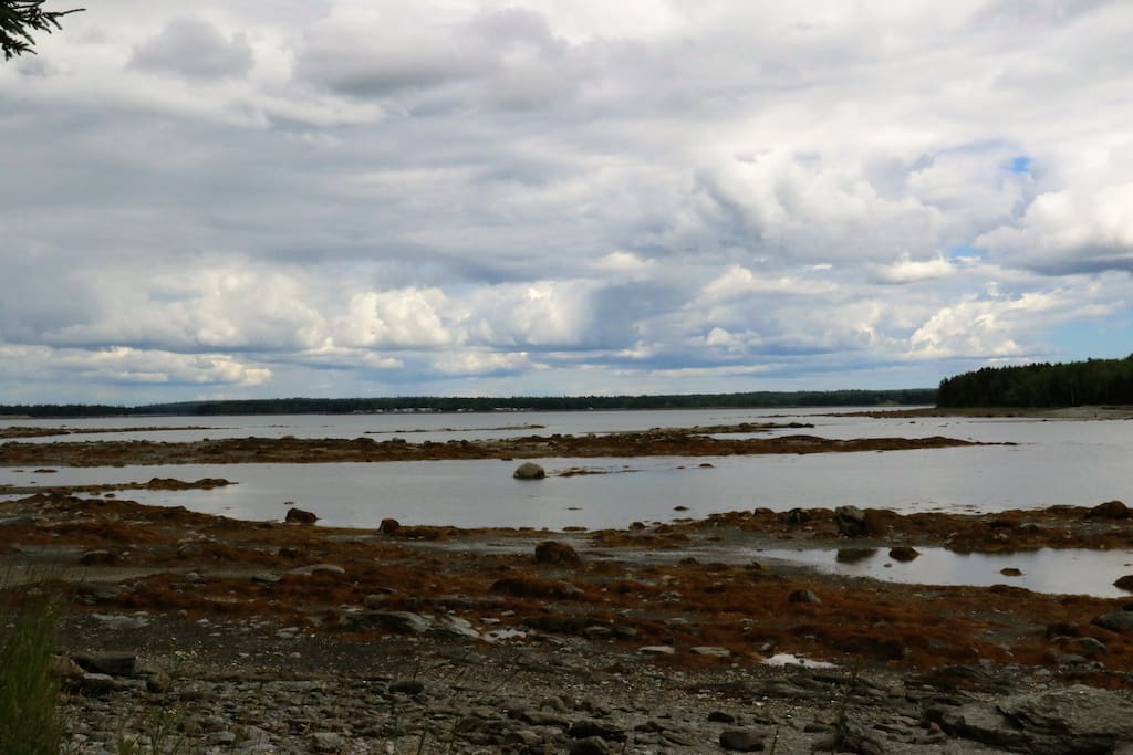 You can cross to the island during low tide. Give your self plenty of time to get back!