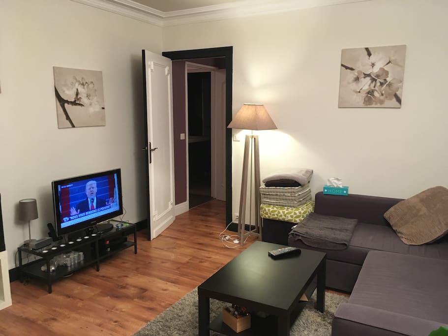Salon avec canapé qui peut se convertir en lit