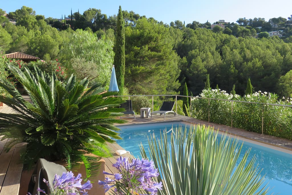 Piscine 8 m x 4 m, terrasse en bois exotique.