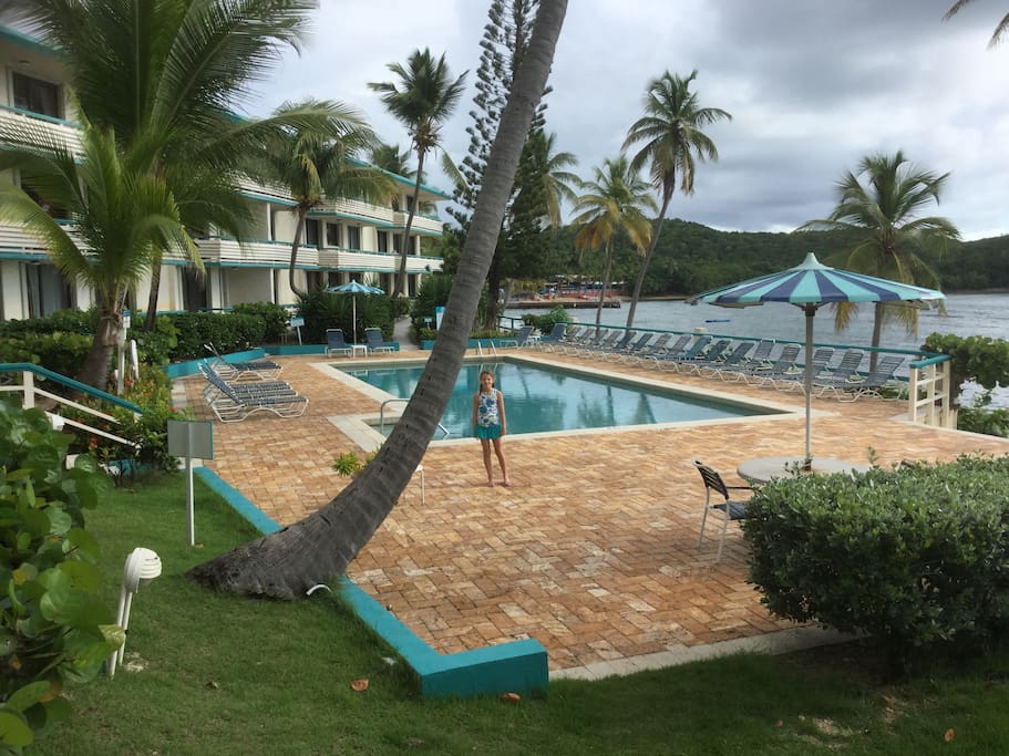 The condo's oceanfront pool just 100 yards from your unit
