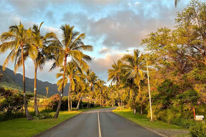 Beautiful 4-BR Home| Near Beach| Mountain View