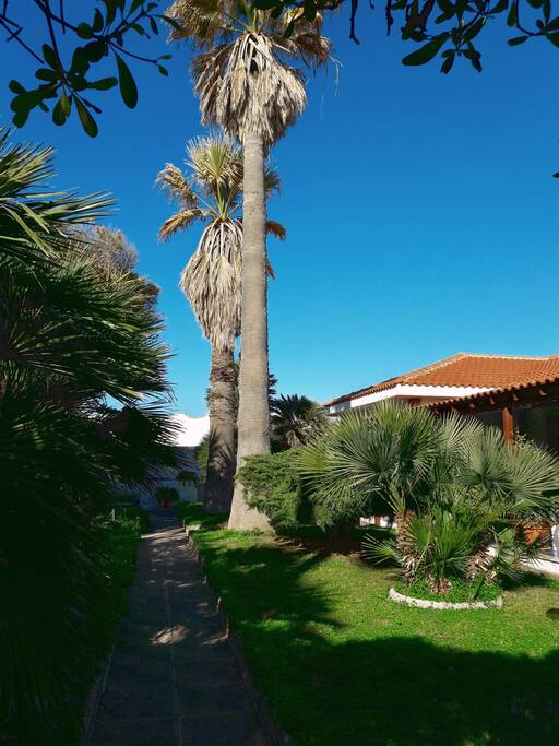 Giardino